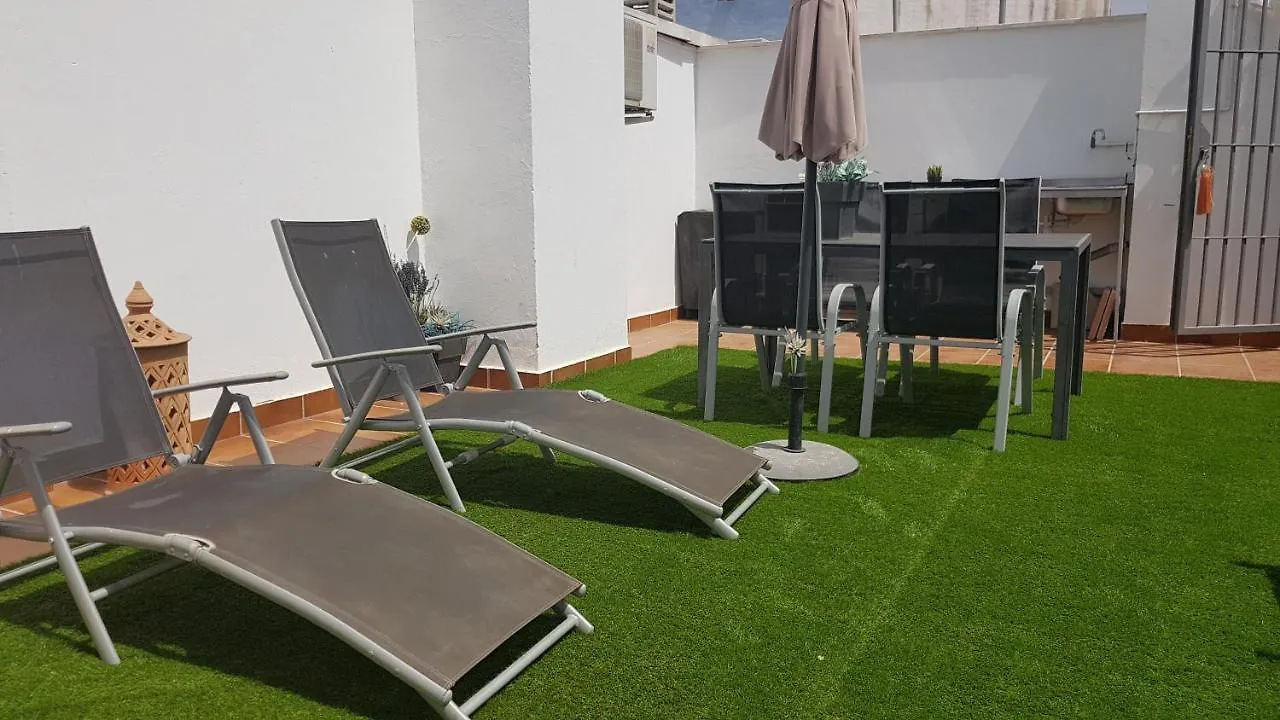 公寓 Malaga Centro Terraza公寓